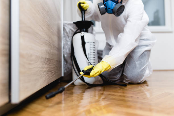 Ocean Springs, MS Pest Control Company