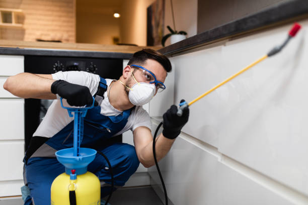 Best Wasp Removal Services  in Ocean Springs, MS