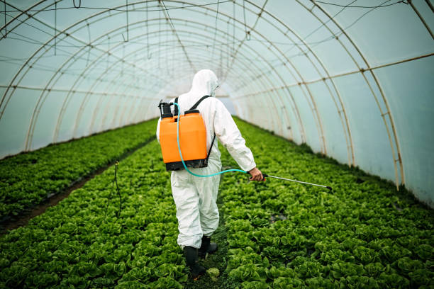 Best Pest Removal Services  in Ocean Springs, MS