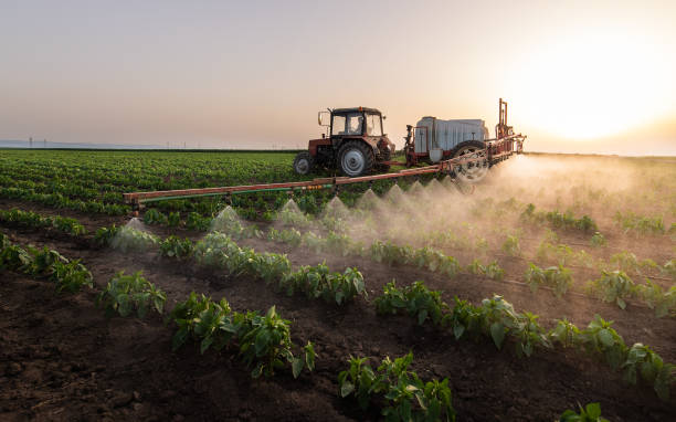 Pest Control Cost in Ocean Springs, MS
