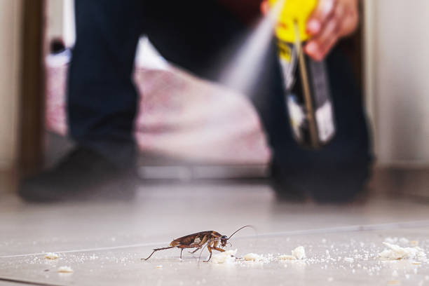 Best Emergency Pest Control  in Ocean Springs, MS